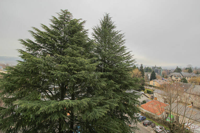 Comparet immobilier 55025649i - Attribut alt par défaut.