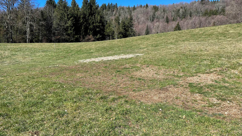 Comparet immobilier 55413675a - Attribut alt par défaut.