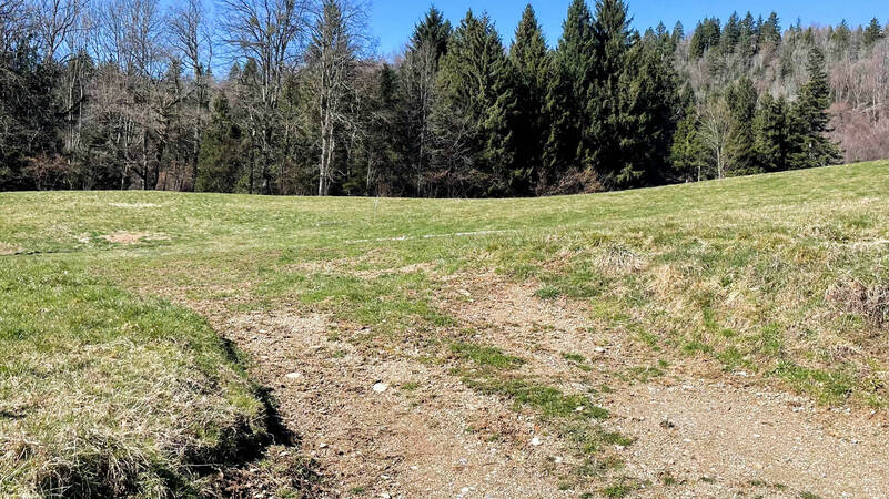 Comparet immobilier 55413675b - Attribut alt par défaut.