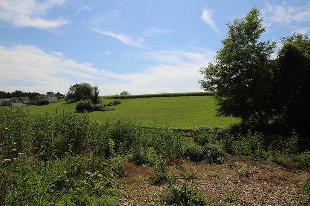 Comparet immobilier 56136161a - Attribut alt par défaut.