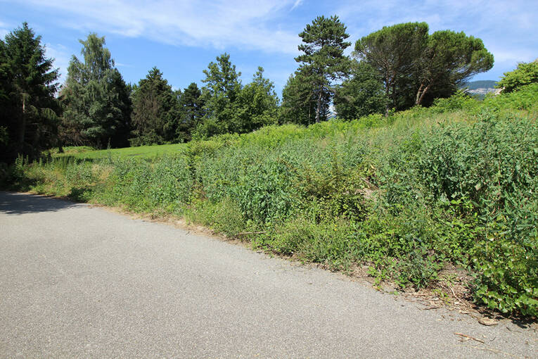 Comparet immobilier 56136161d - Attribut alt par défaut.