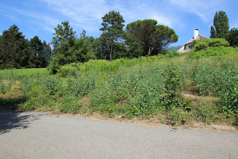 Comparet immobilier 56136161e - Attribut alt par défaut.