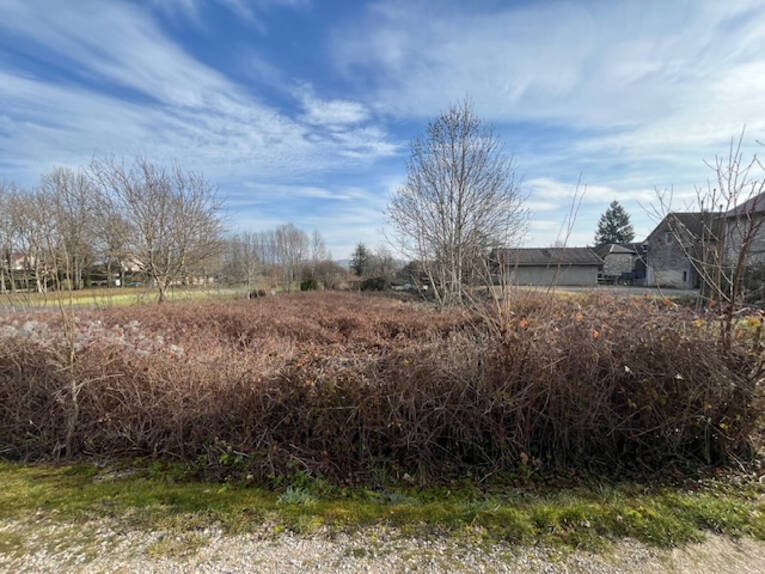 Comparet immobilier 55265103d - Attribut alt par défaut.