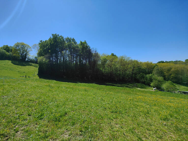 Comparet immobilier 59497451b - Attribut alt par défaut.