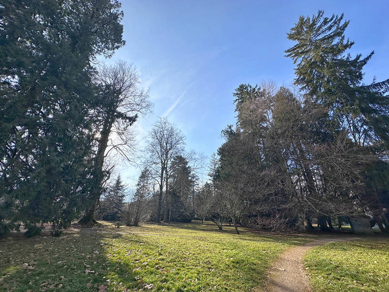 Comparet immobilier 59165785m - Attribut alt par défaut.