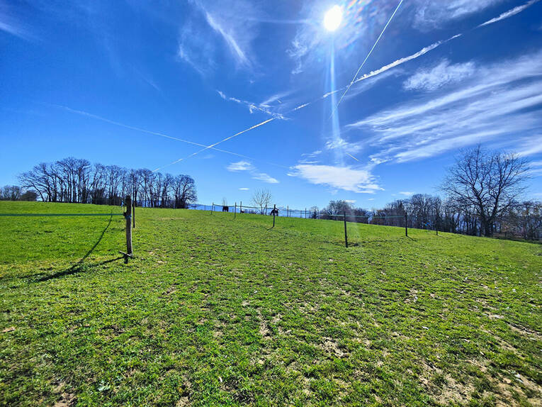 Comparet immobilier 60206957q - Attribut alt par défaut.