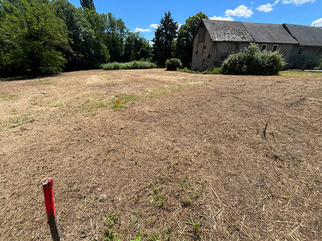 Comparet immobilier 59769919a - Attribut alt par défaut.