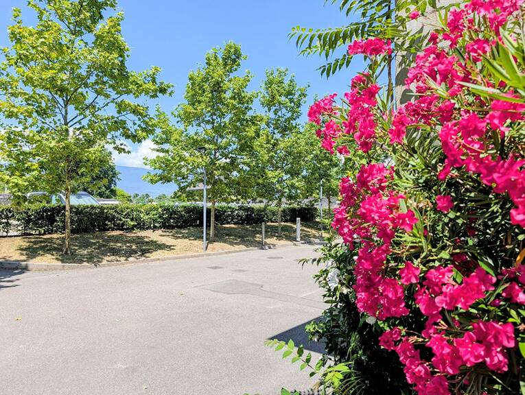 Comparet immobilier 60874276m - Attribut alt par défaut.